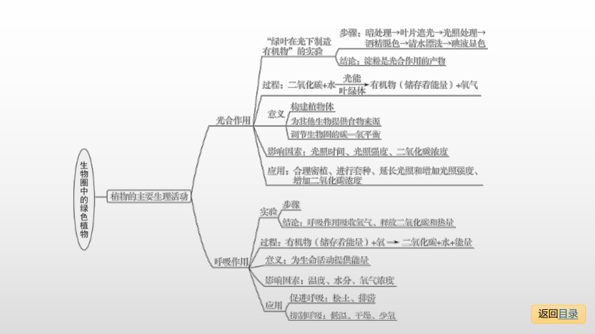 2021年中考一轮复习：生物圈中的绿色植物 课件 (共47张PPT)