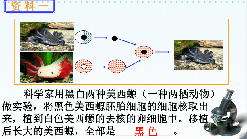 高中生物浙科版必修1 分子与细胞第二章 细胞的结构第四节  细胞核课件（20张）