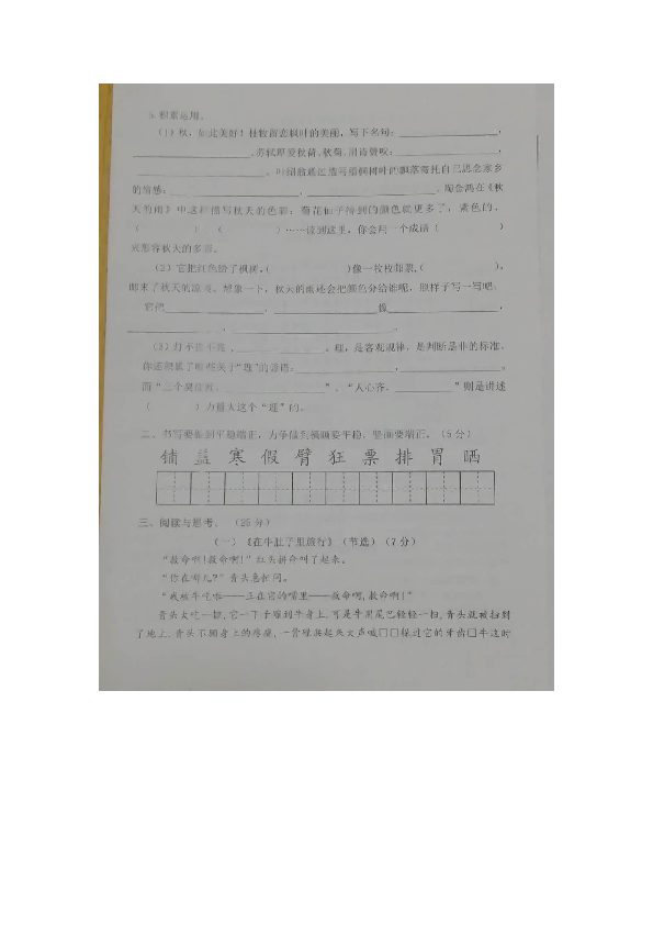 （首发）2018-2019学年度第一学期山东济宁微山县期中考试三年级语文试题（图片版含答案）