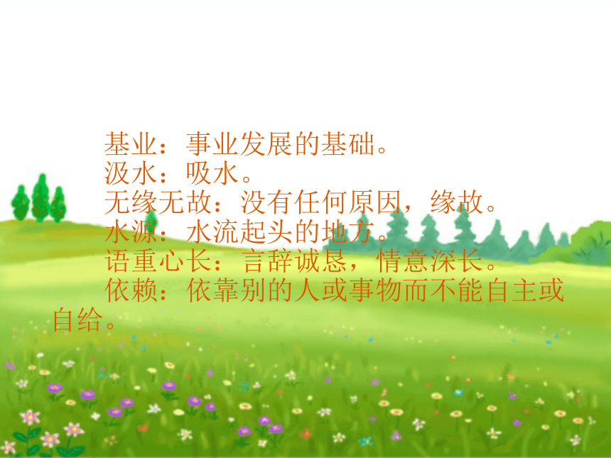 《桃花心木》课件