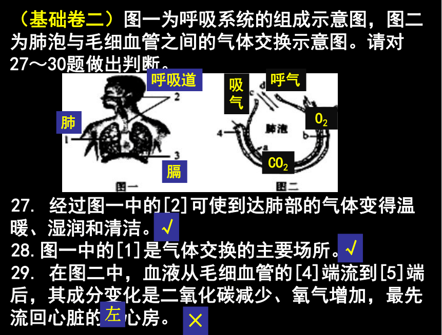 2019专题6：生物体内废物的排出课件（14张PPT）