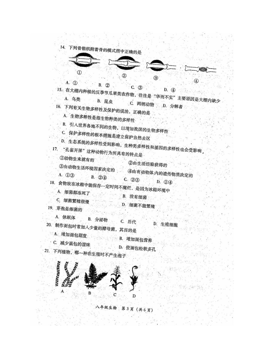 四川省德阳市旌阳区2017-2018学年八年级上学期期末考试生物试题（图片版）