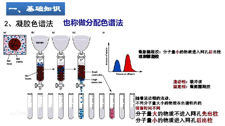 人教版选修一5.3血红蛋白的提取与分离(共43张PPT)