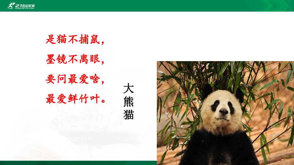 部编版三下语文 第七单元习作国宝大熊猫 课件