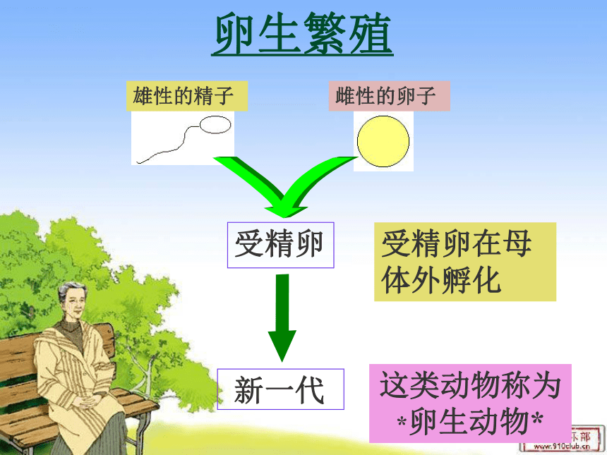 湘版四年级科学《翩翩雌与雄》课件