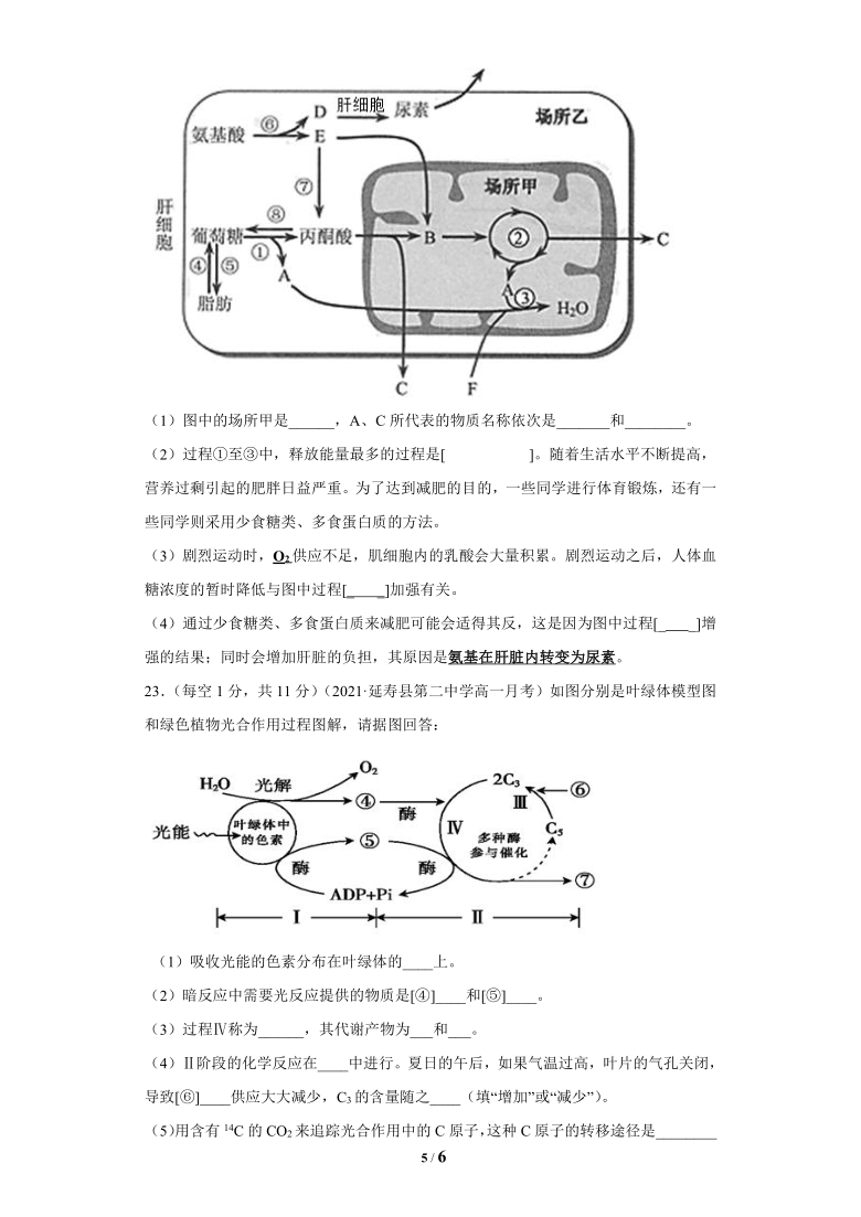 广东省珠海艺术高中2020-2021学年高一下学期期中考试生物试题 Word版含答案