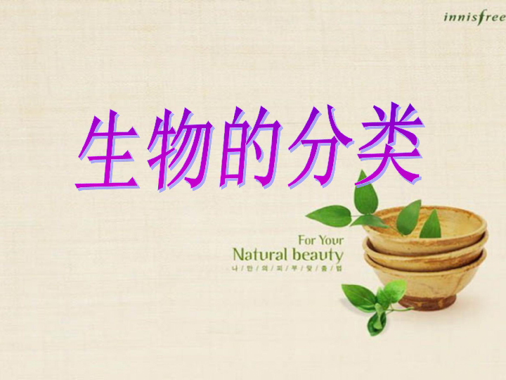 《生物的分类 课件  (共34张PPT)