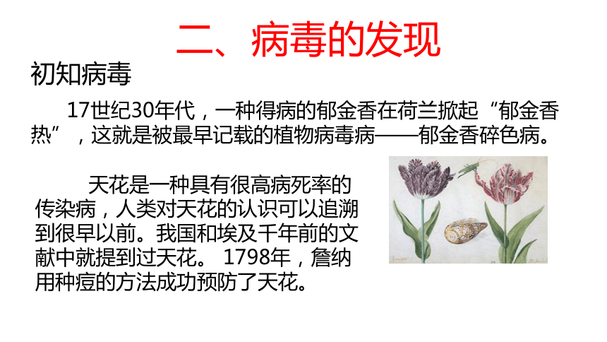 14.3神奇的微生物----病毒 课件(共31张PPT)