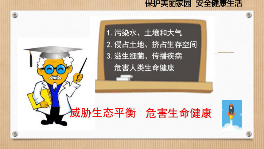 身边的环境问题——废物都能成金吗？课件