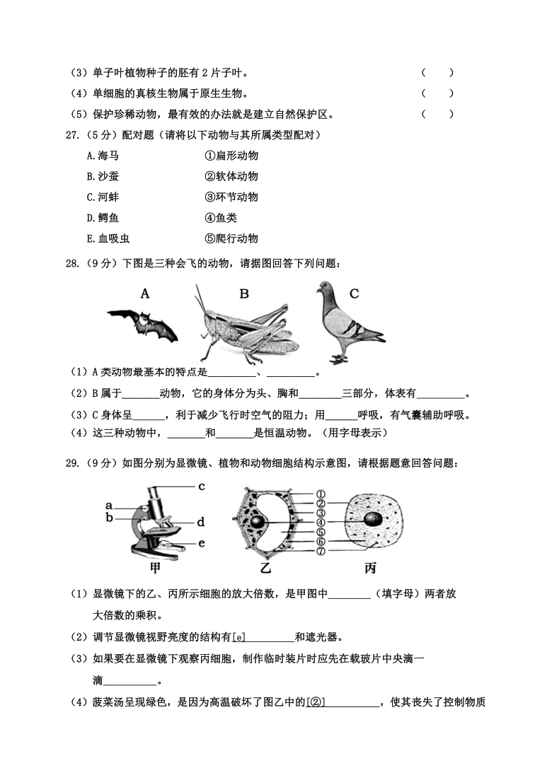 广西百色市六县联考2020-2021学年第一学期七年级生物期末教学质量检测（word版，含答案）