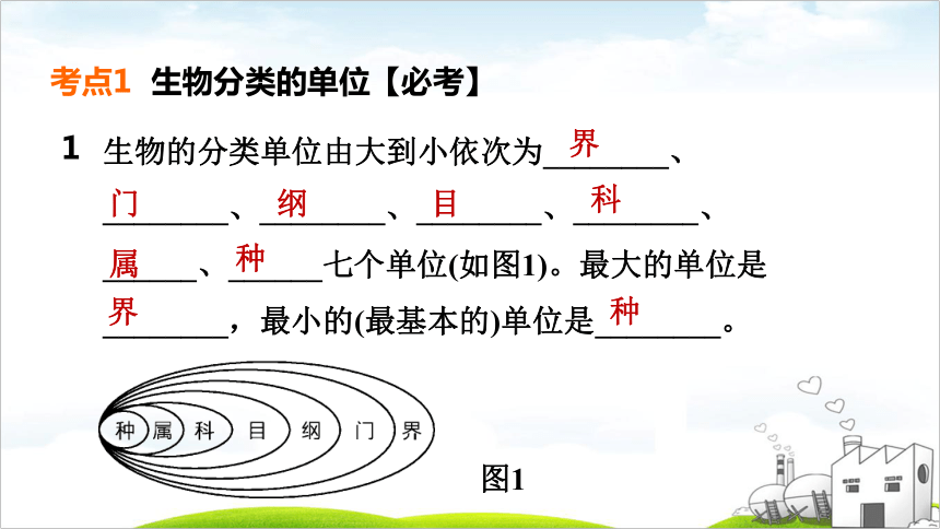 第17课时　生物分类单位、微生物多样性与植物多样性课件(共53张PPT)2022年福建中考生物考点梳理