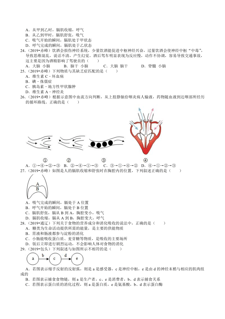 内蒙古2018-2020年近三年中考生物试题分类（4）——生物圈中的人(含解析)