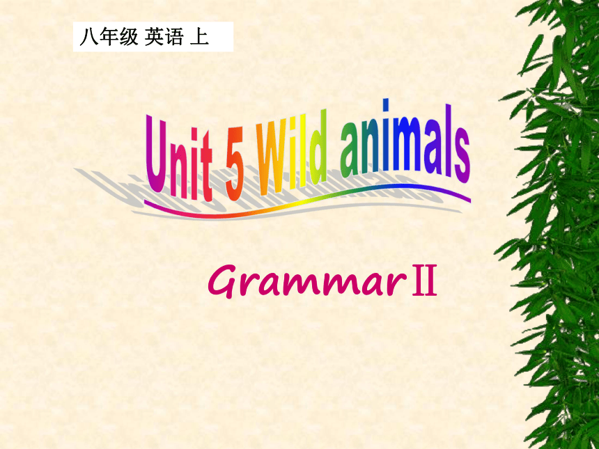 Unit5 Wild aniamls Grammar2 教学课件