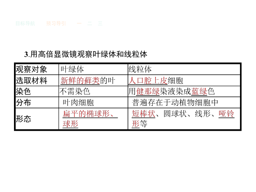 人教版生物必修1同步教学课件：3.2 细胞器——系统内的分工合作