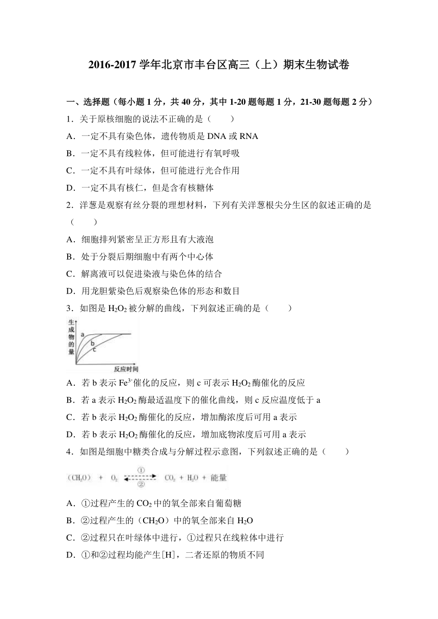北京市丰台区2017届高三（上）期末生物试卷（解析版）