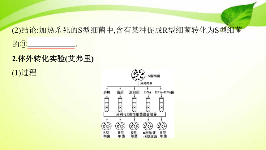 高考生物专题课件12：基因的本质（共52张PPT）