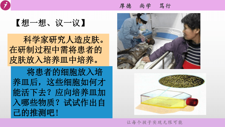 人教版七年级生物上册  第二单元第一章第四节 细胞的生活 教学课件（51张PPT）