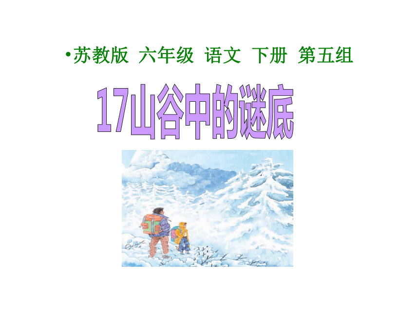 17《山谷中的谜底》课件