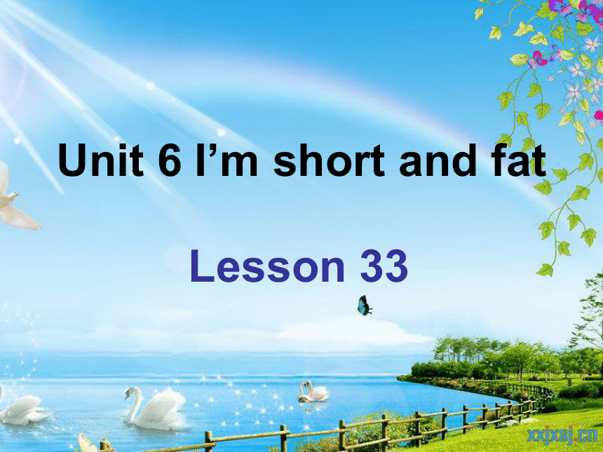 四年级上册 unit6 I’m short and fat Lesson 33