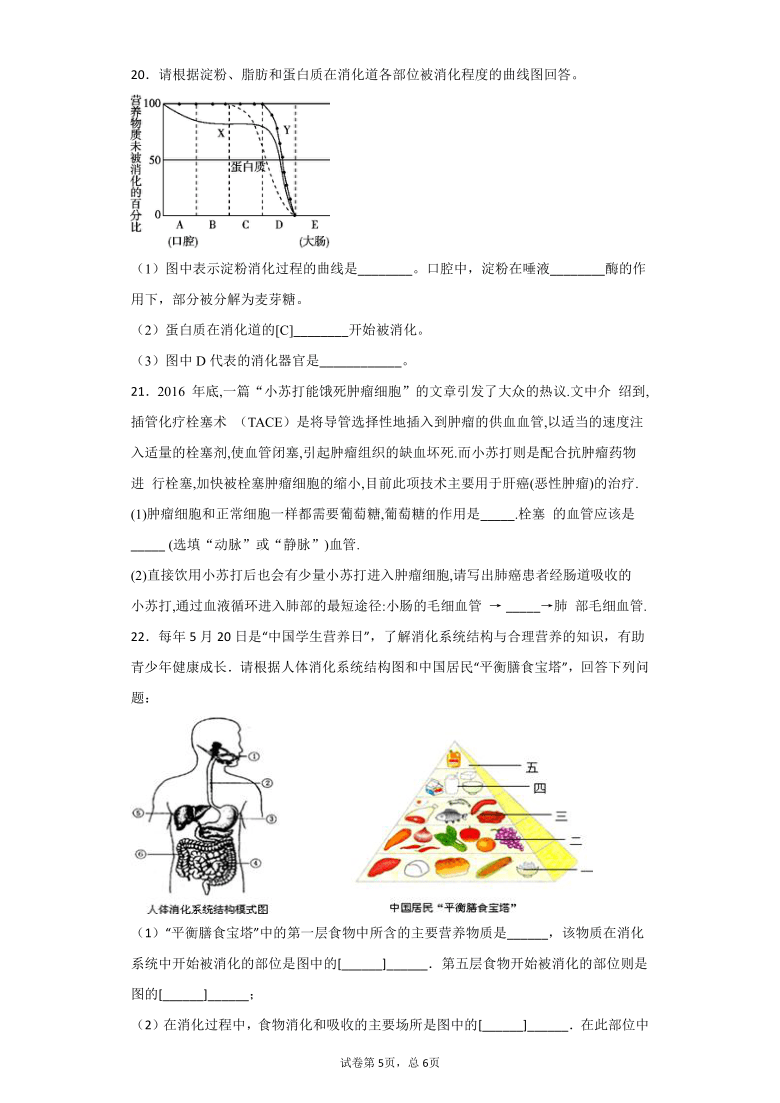 5.1食物的消化和吸收-华东师大版八年级科学上册同步检测