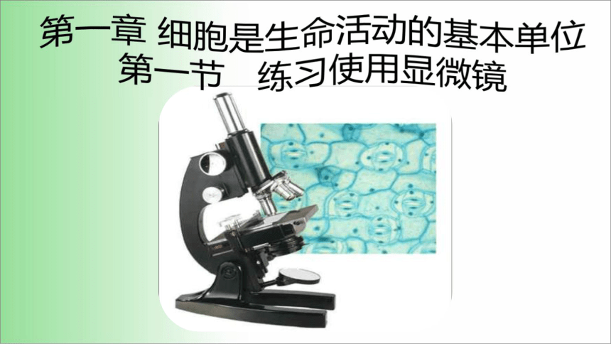 2021——2022学年人教版七年级生物上册2.1.1 练习使用显微镜 课件（15张PPT）