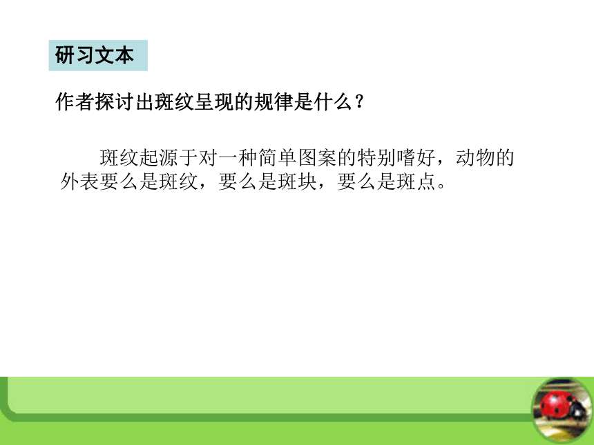 2016春高中语文（苏教版必修五）教学课件：第一专题《斑纹》（共37张PPT）