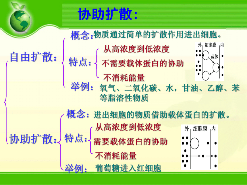 云南省绥江县第一中学人教版必修一生物课件：4.3物质跨膜运输的方式 （共24张PPT）
