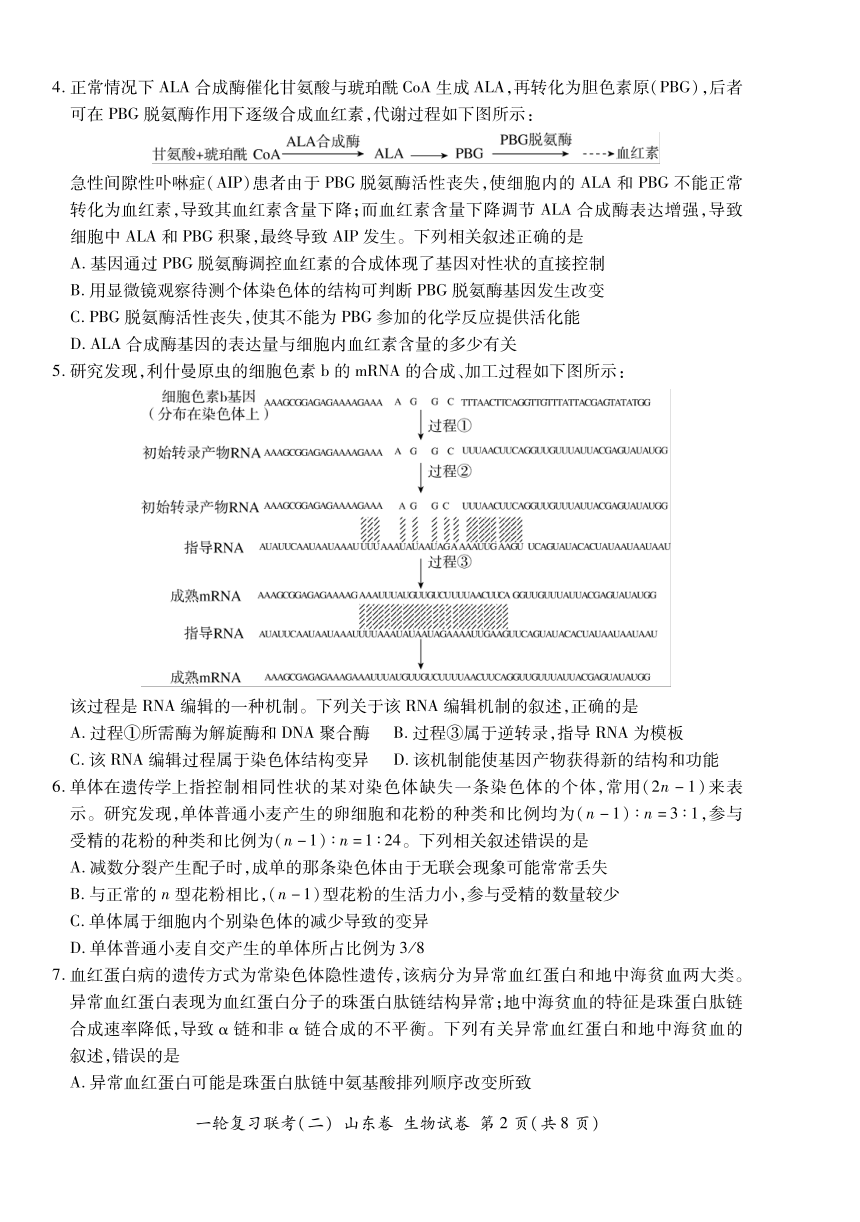 山东省2022届高三上学期11月一轮复习联考（二）生物试卷（PDF版含答案）