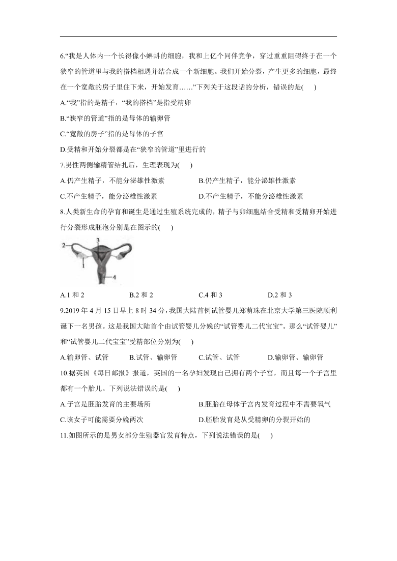 2020-2021学年生物人教版七年级下册4.1人的由来练习（word版含答案）