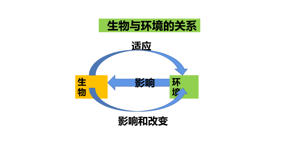 北师大版生物八年级下册23章第4节 生态系统的稳定性课件（共24张PPT）