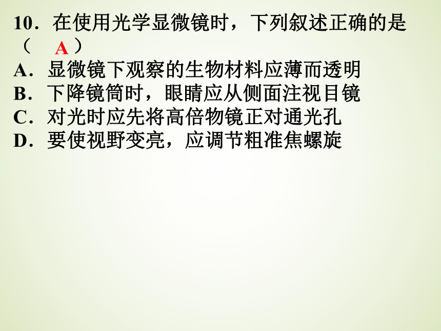 第二单元 第一章  细胞是生命活动的基本单位 综合检测 课件（共27张PPT）