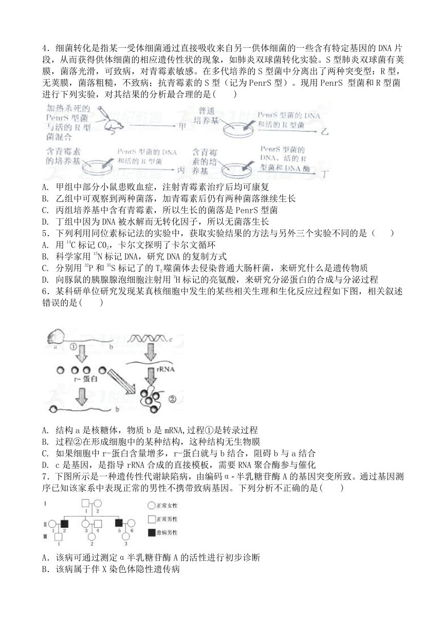 广东省深圳市高级中学2017-2018学年高二上学期期中考试 生物（含解析）