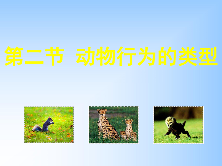 冀教版八上生物 4.2.2动物行为的类型 课件  (48张PPT)