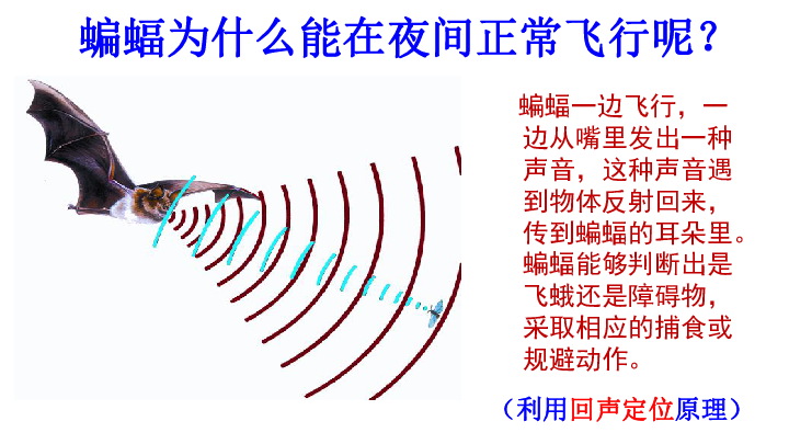 北师大版八年级物理上册课件：4.4声现象在科技中的应用(共26张PPT)