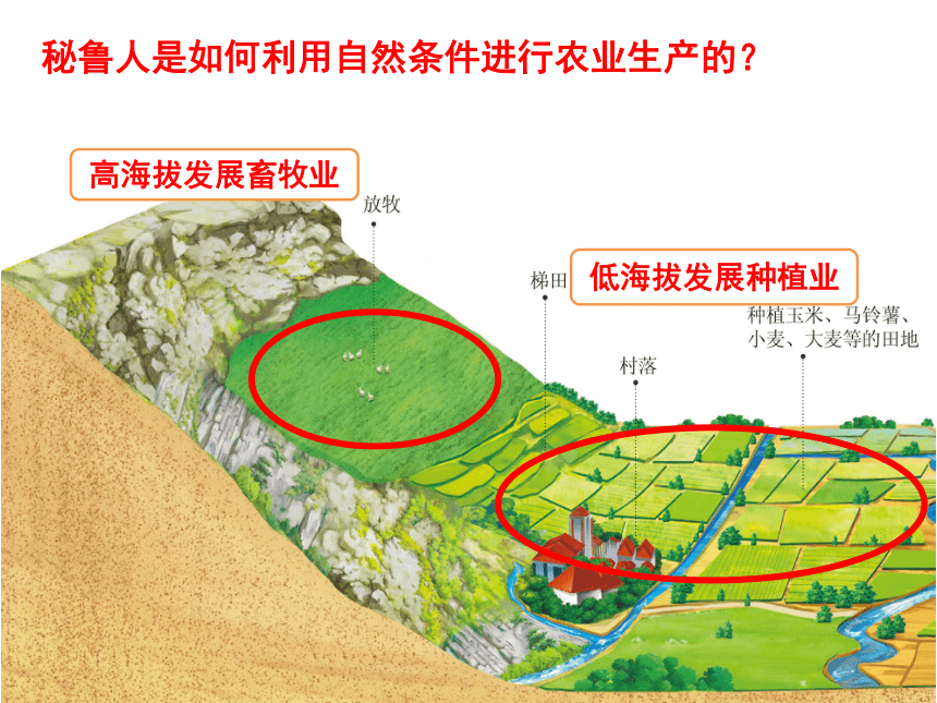 3-2与山为邻 课件（24张PPT）