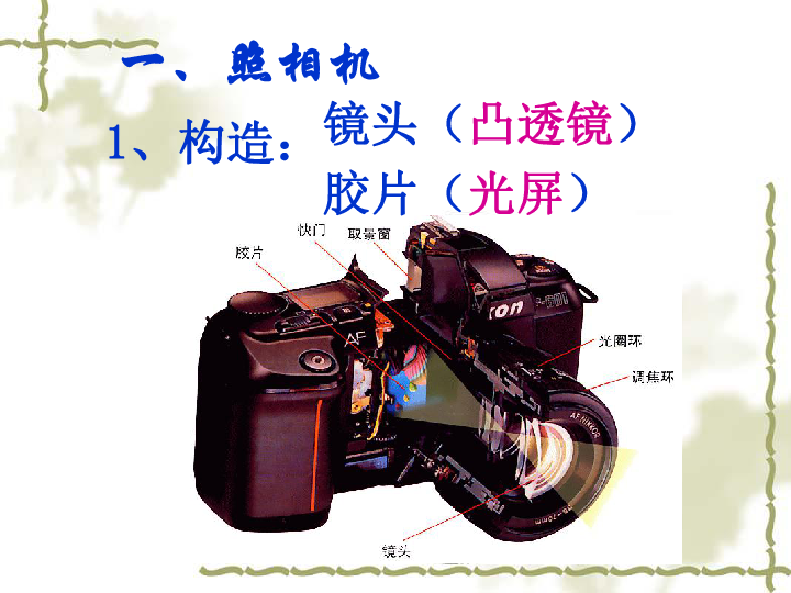 苏科版八年级上册物理  4.4 照相机与眼睛 视力的矫正 课件(19张PPT)