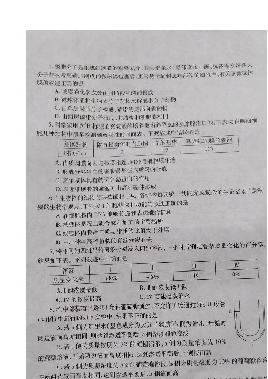 湖北省随州市2018-2019学年高二下学期期末考试生物试题 扫描版