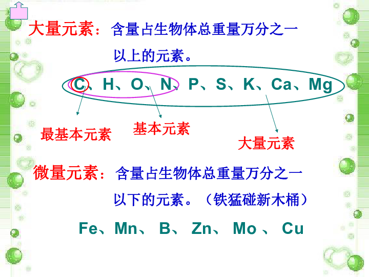 高中生物必修一第二章细胞中的元素和化合物课件