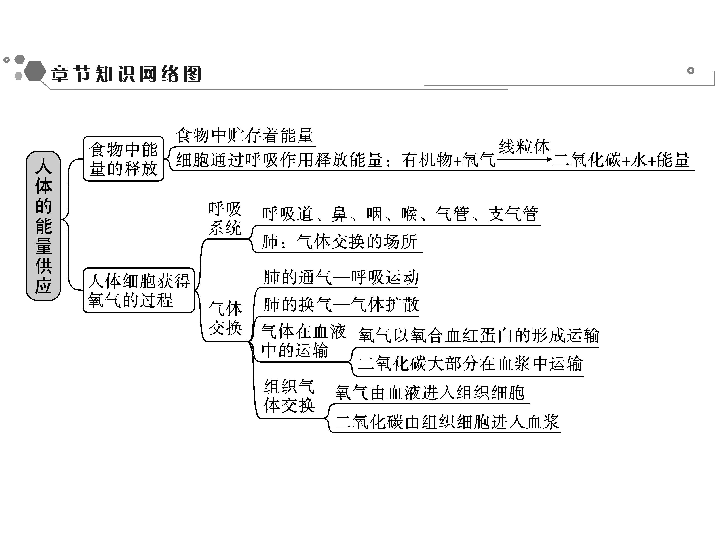 能量与营养素思维导图图片