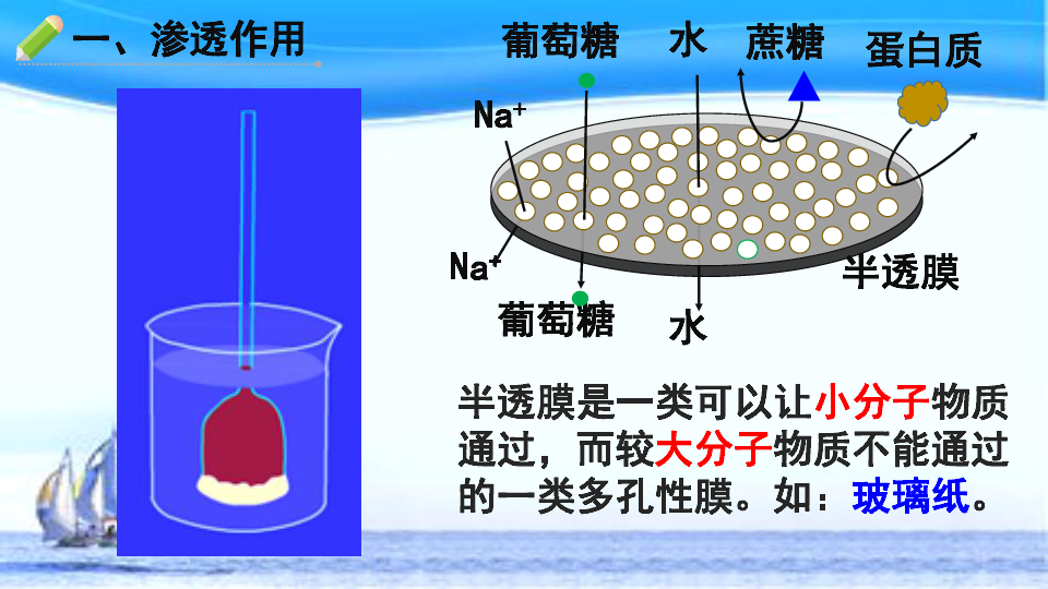 人教版高中生物必修一课件：4-1物质跨膜运输的实例 共41张