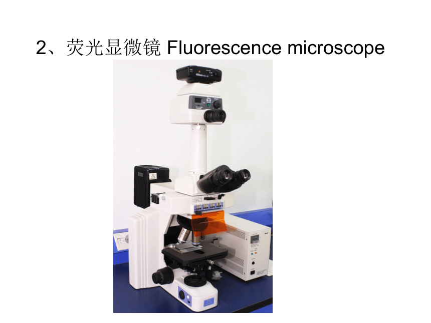 实验一 光学显微镜使用及显微摄影技术