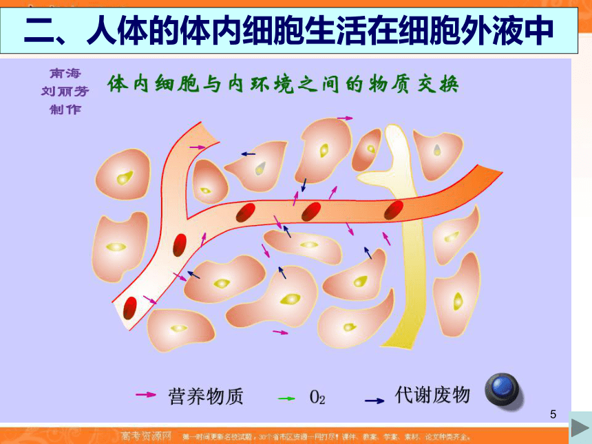 2017-2018年人教版高中生物人教版必修三1.1细胞生活的环境课件