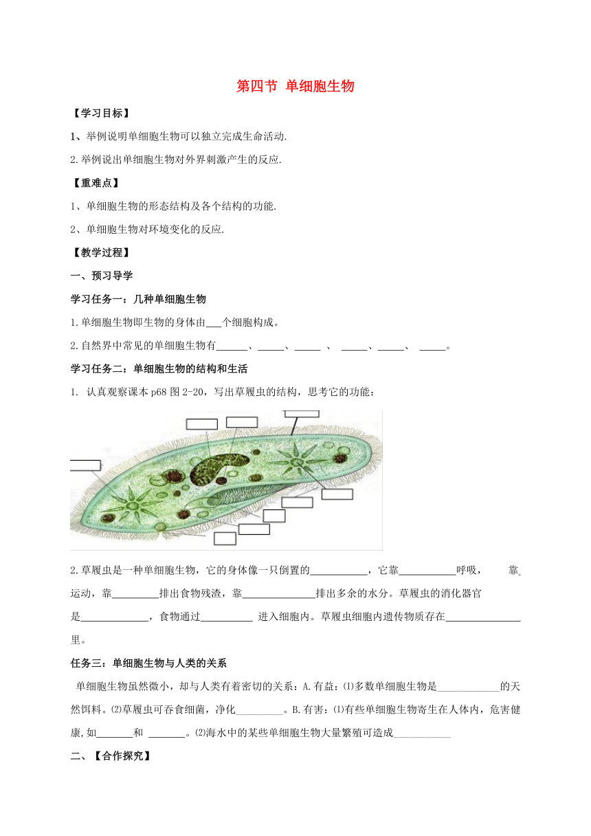 广西桂林市雁山中学七年级生物上册 第2单元 第2章 第4节 单细胞生物导学案（无答案）（新版）新人教版