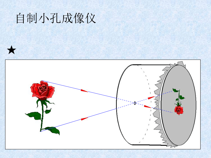 第一节 光的反射 平面镜（第一课时）