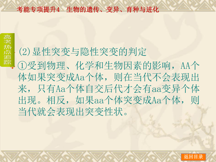 【新课标人教通用，一轮基础查漏补缺】考能专项提升4 生物的遗传、变异、育种与进化 （49ppt）