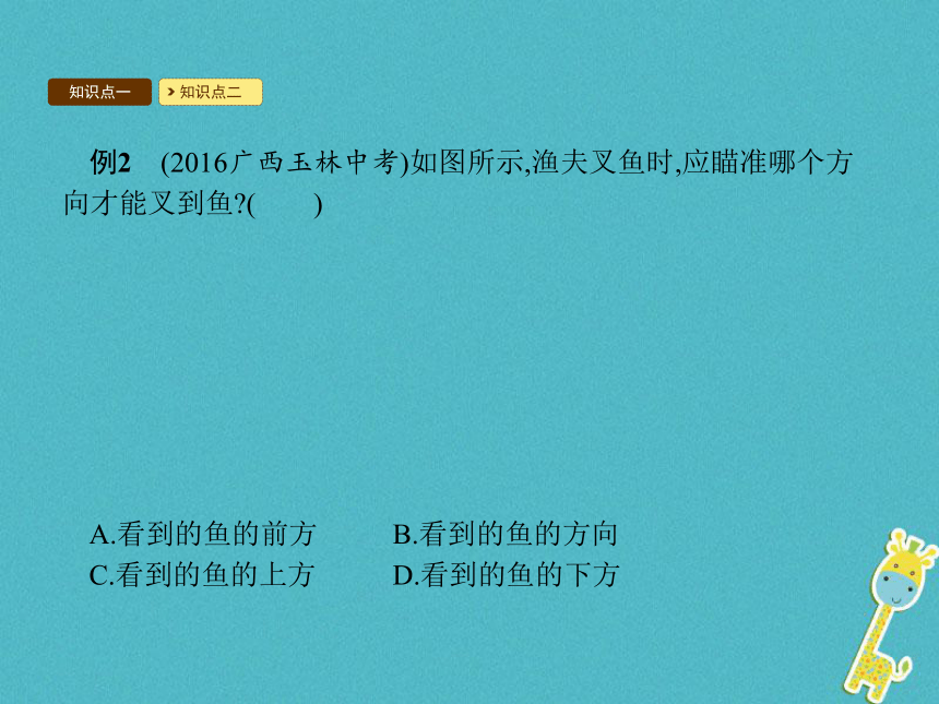 人教版初中物理八年级上册：4.4光的折射课件