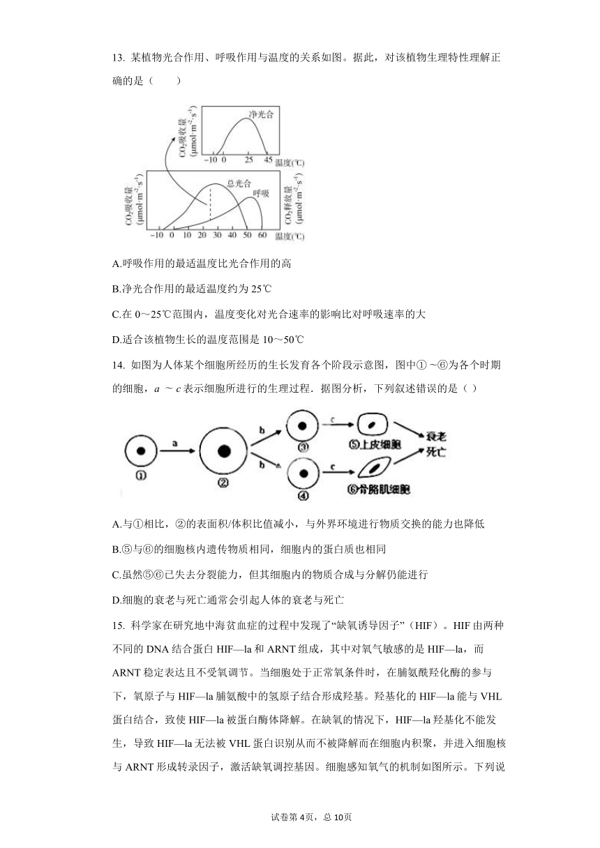 2022届高考生物一轮复习：分子与细胞综合练习（四）(WORD版带答案