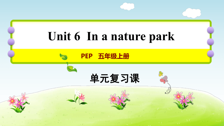 Unit 6 In a nature park 期末复习课件   (共15张PPT)