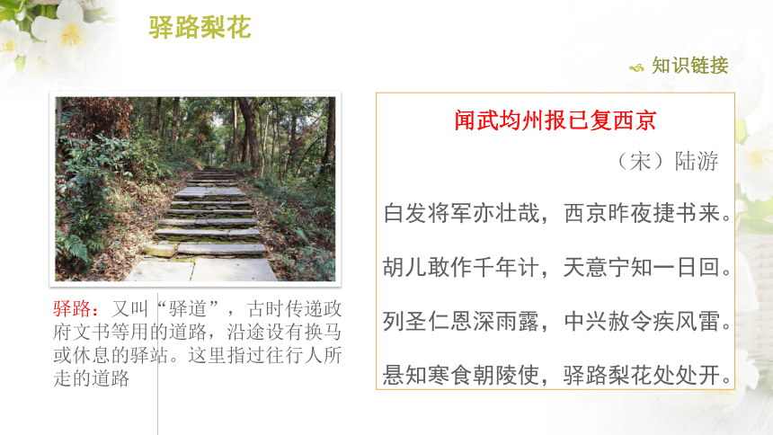 驿路梨花 课件