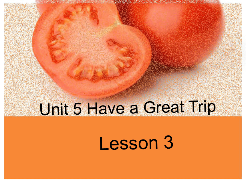Unit 5 Have a great trip Lesson 3 课件